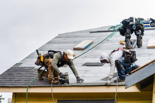 Professional Roof Installation technician working in Homer, MI